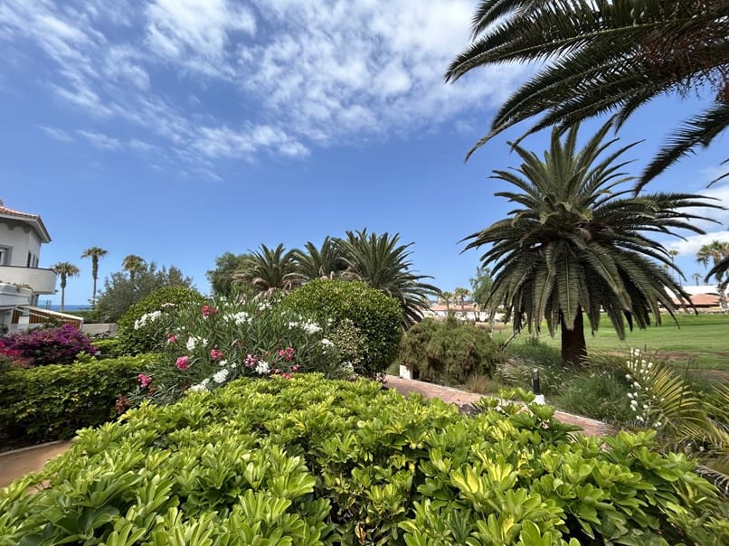 2 bedroom Apartment for sale in Amarilla Golf with pool - € 240,000 (Ref: 9983921)