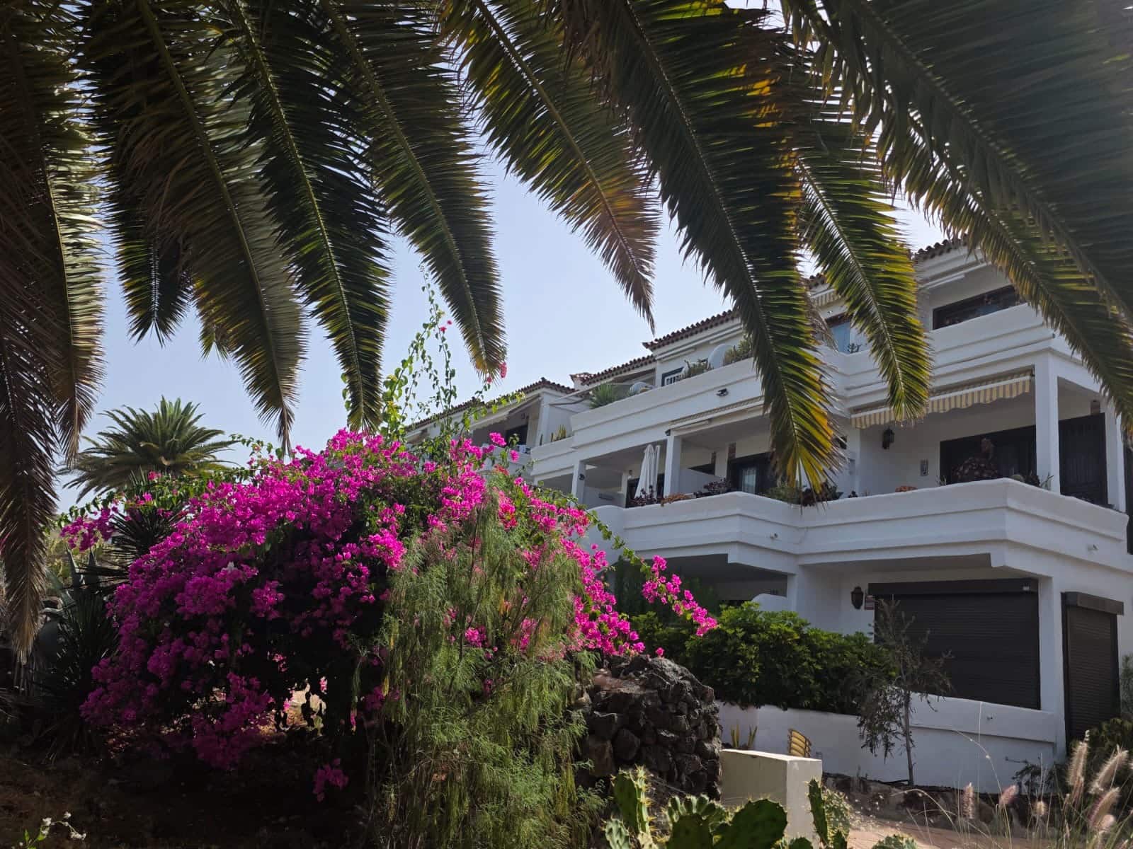 1 soverom Leilighet til salgs i Amarilla Golf med svømmebasseng - € 240 000 (Ref: 9987335)