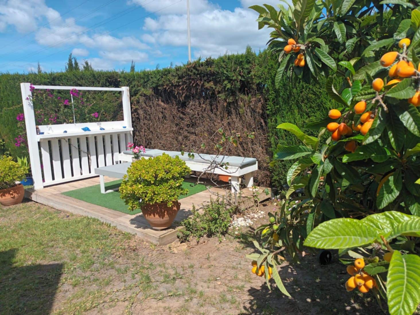 2 soveværelse Villa til salg i Oliva Nova med swimmingpool - € 339.000 (Ref: 9024879)