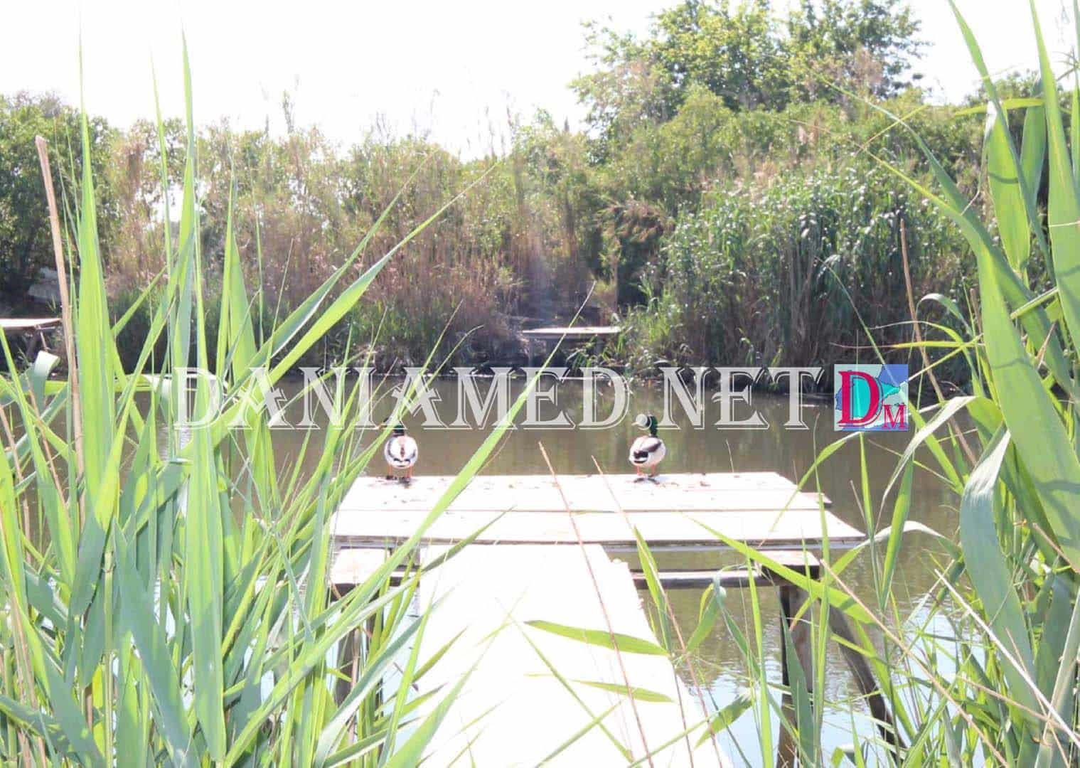 2 slaapkamer Appartement te koop in Denia met garage - € 169.000 (Ref: 9977755)