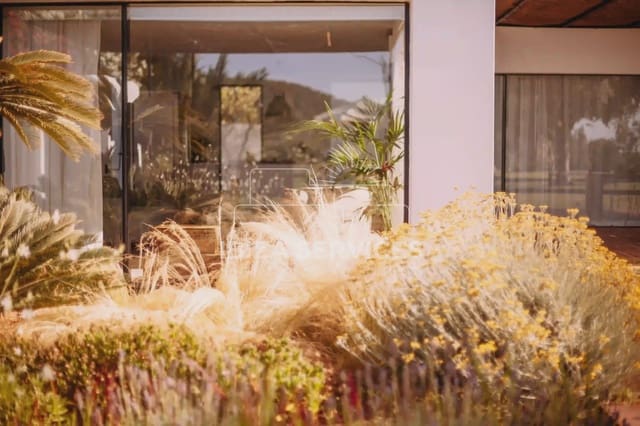 6 quarto Moradia para arrendamento para férias em Cala Jondal, San Jose / Sant Josep de Sa Talaia com Garagem - 8 400 € (Ref: 8659702)