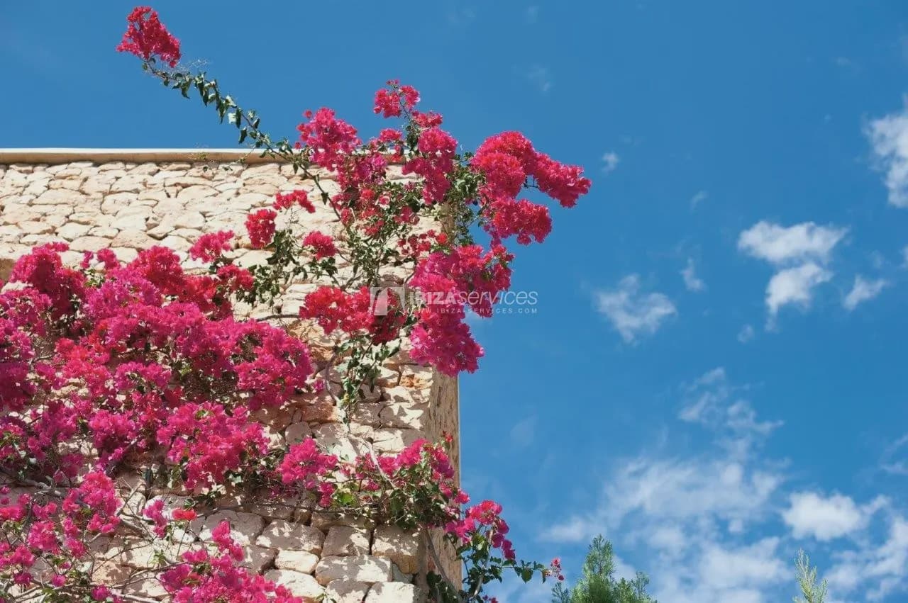 6 quarto Moradia para arrendamento para férias em Es Cubells com piscina Garagem - 19 950 € (Ref: 8659807)