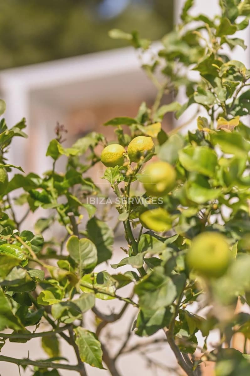 4 soveværelse Villa til leje i San Jose / Sant Josep de Sa Talaia med swimmingpool garage - € 15.000 (Ref: 9646716)