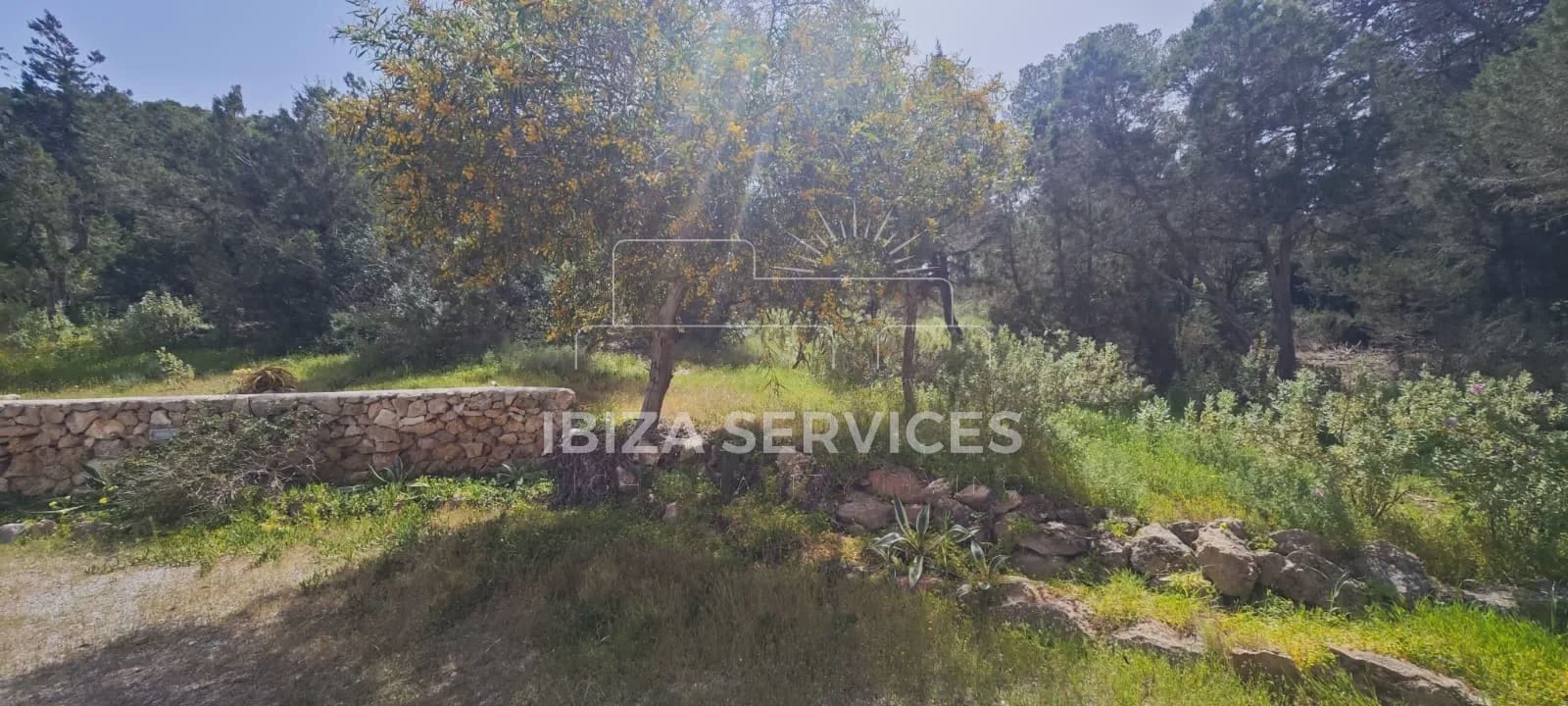 2 sypialnia Apartament do wynajęcia w Cala Tarida z garażem - 2 500 € (Ref: 9783898)