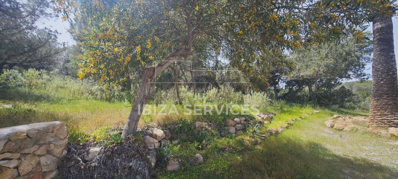 2 sypialnia Apartament do wynajęcia w Cala Tarida z garażem - 2 500 € (Ref: 9783898)