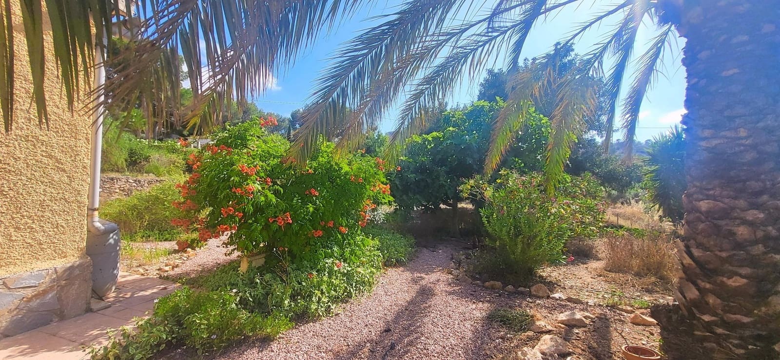 4 soverom Villa til salgs i Hondon de las Nieves med svømmebasseng garasje - € 279 999 (Ref: 10002603)
