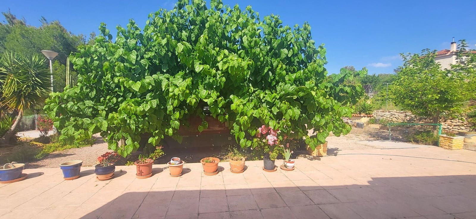 4 soverom Villa til salgs i Hondon de las Nieves med svømmebasseng garasje - € 279 999 (Ref: 10002603)