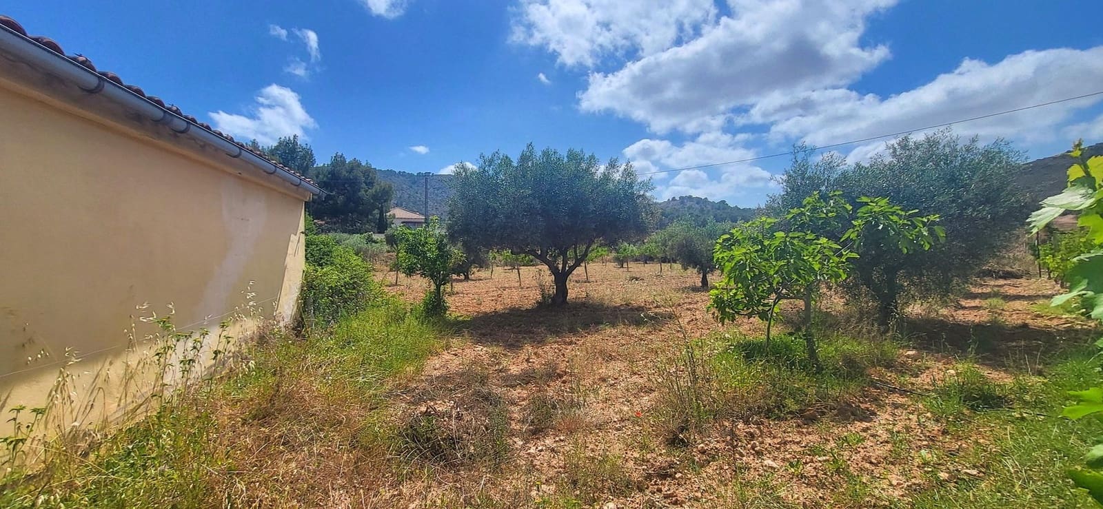 4 soverom Villa til salgs i Hondon de las Nieves med svømmebasseng garasje - € 279 999 (Ref: 10002603)