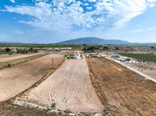 3 bedroom Villa for sale in Pinoso with pool garage - € 329,500 (Ref: 10004999)
