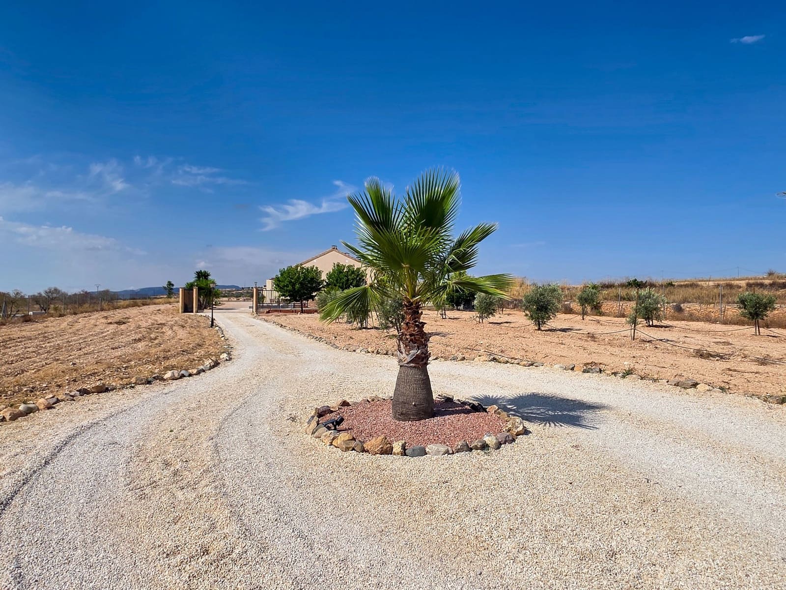 3 bedroom Villa for sale in Pinoso with pool garage - € 329,500 (Ref: 10004999)