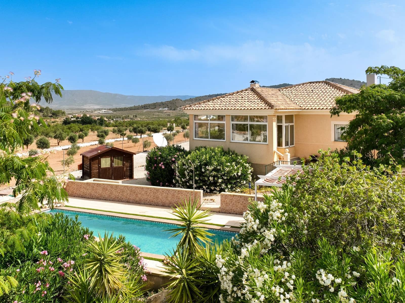 3 chambre Villa/Maison à vendre à Pinoso avec piscine garage - 329 500 € (Ref: 10022997)