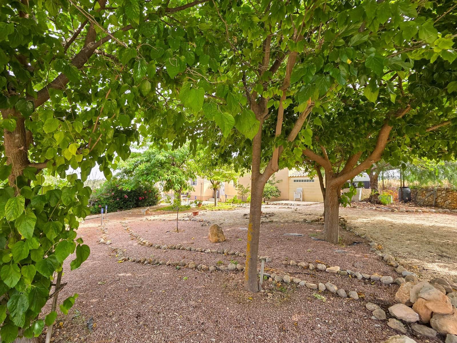 3 chambre Villa/Maison à vendre à Pinoso avec piscine garage - 329 500 € (Ref: 10022997)