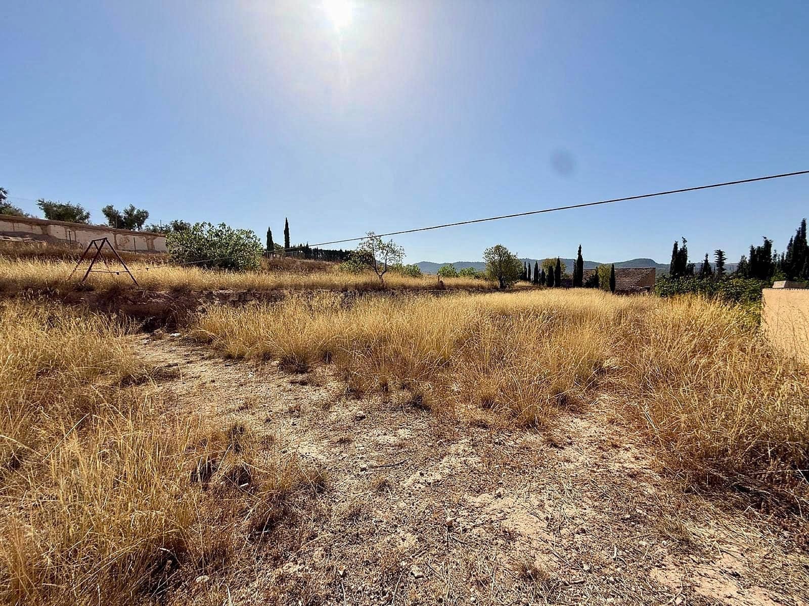 5 sovrum Villa till salu i Pinoso med pool garage - 245 000 € (Ref: 10023555)