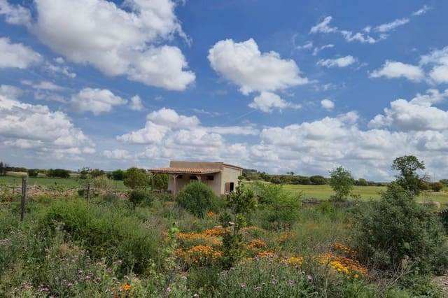 5 camera da letto Commerciale in vendita in Almansa con piscina garage - 749.000 € (Rif: 10031462)