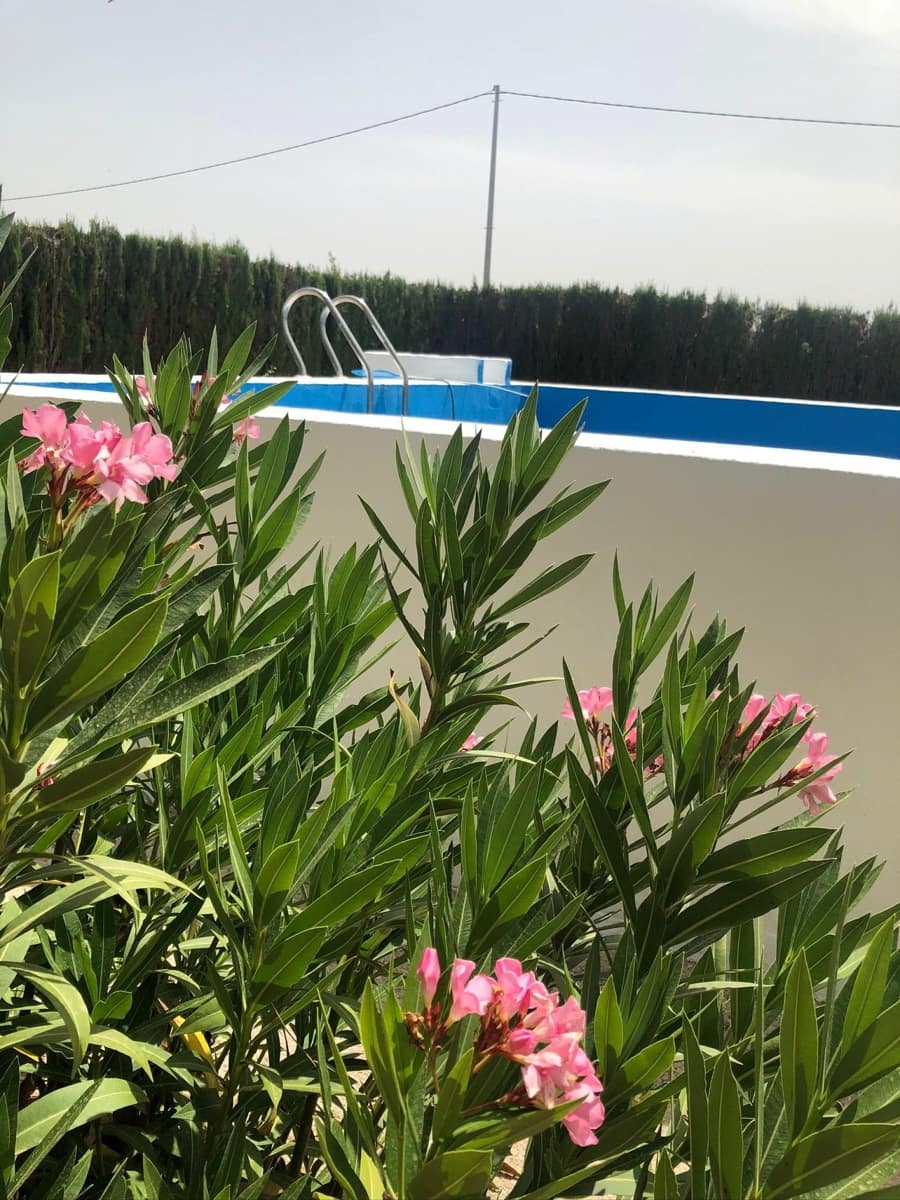 4 soveværelse Villa til salg i Yecla med swimmingpool - € 129.995 (Ref: 10040206)