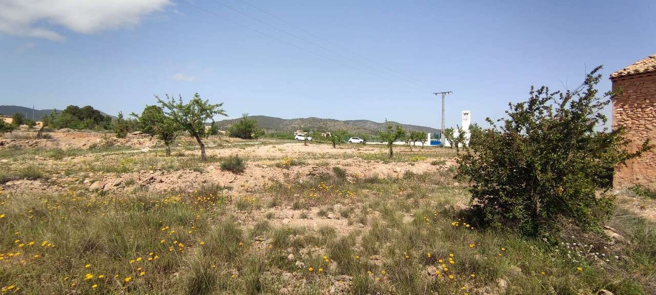Finca/Hus på landet till salu i Pinoso - 49 900 € (Ref: 10047654)