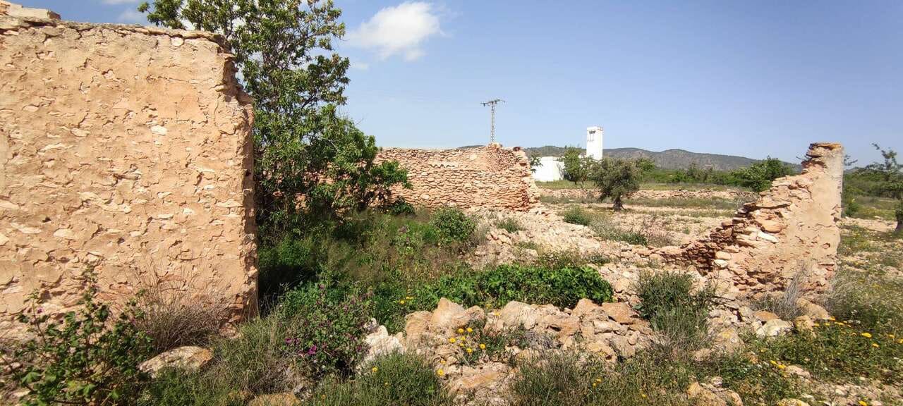 Finca/Hus på landet till salu i Pinoso - 49 900 € (Ref: 10047654)