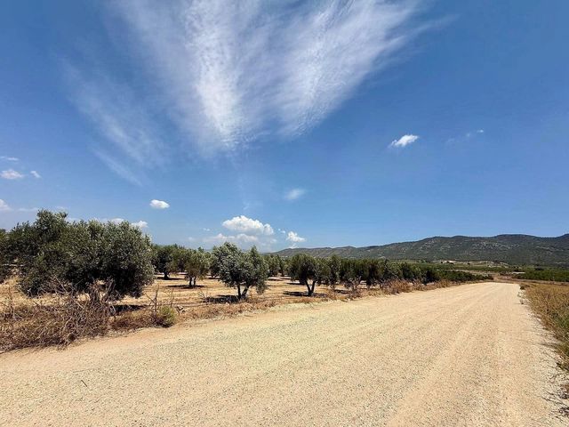 Mark till salu i Salinas - 49 500 € (Ref: 10090891)