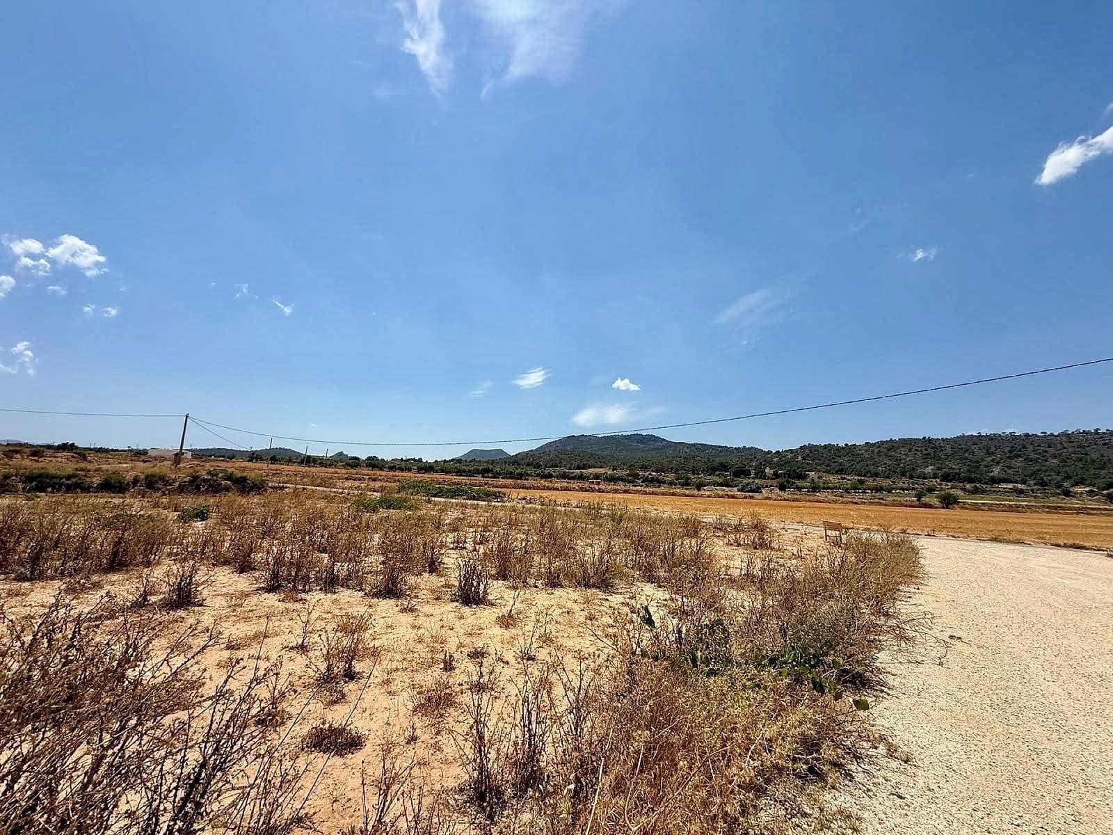 Undeveloped Land for sale in Salinas - € 49,500 (Ref: 10090891)