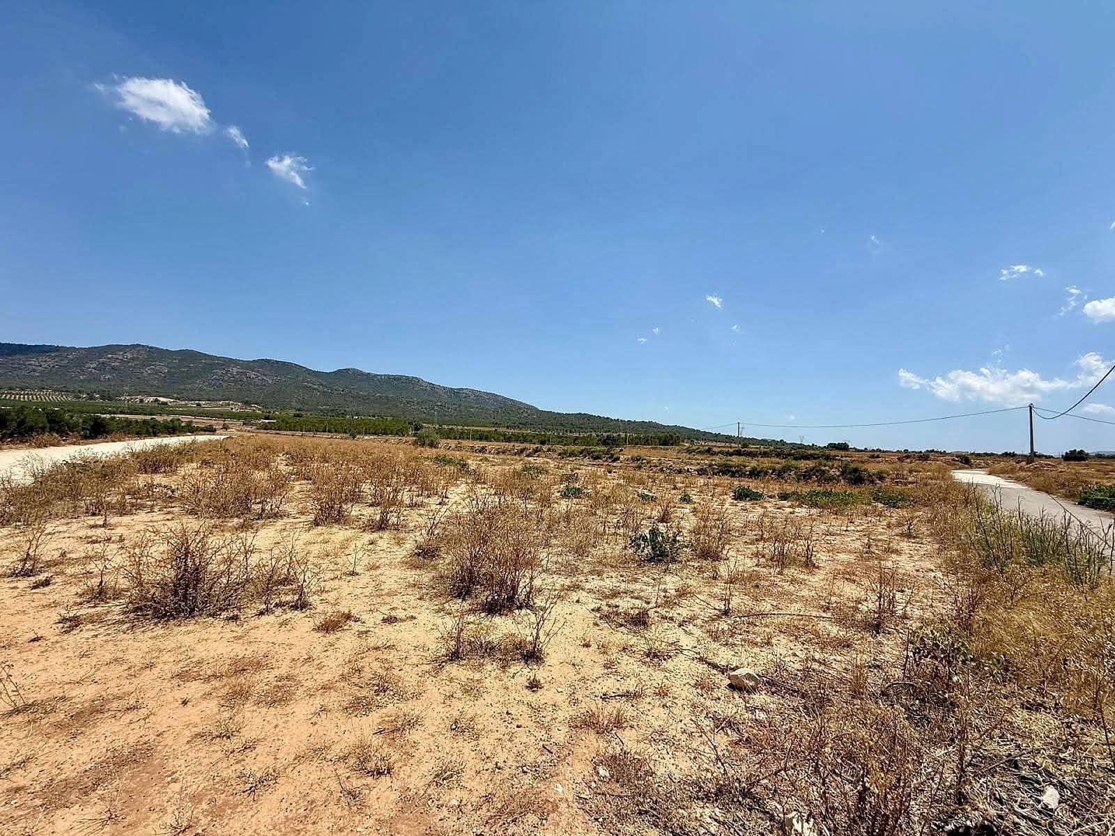 Undeveloped Land for sale in Salinas - € 49,500 (Ref: 10090891)