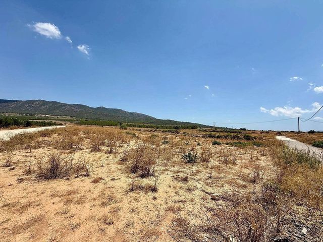Mark till salu i Salinas - 49 500 € (Ref: 10090891)