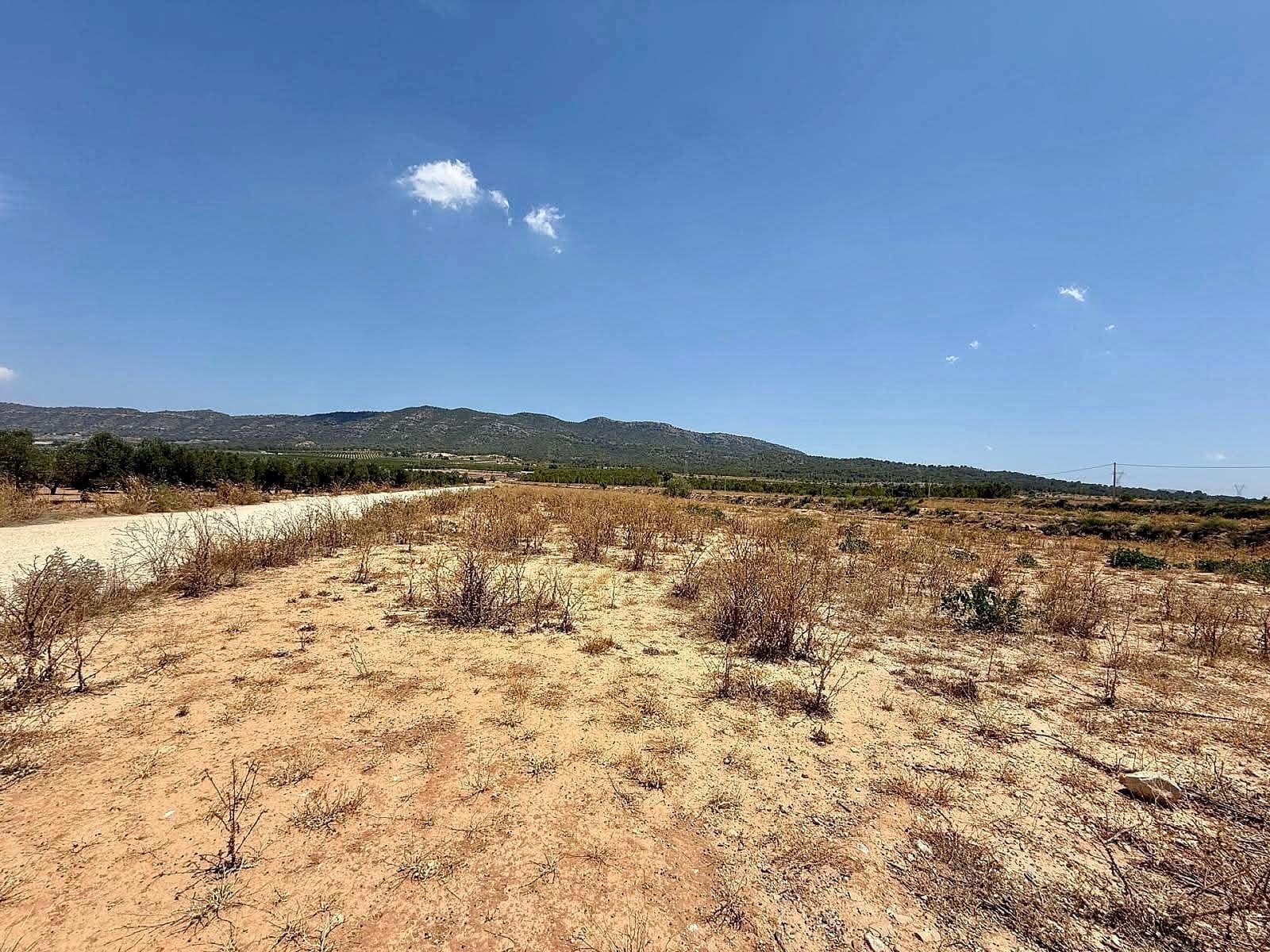 Undeveloped Land for sale in Salinas - € 49,500 (Ref: 10090891)