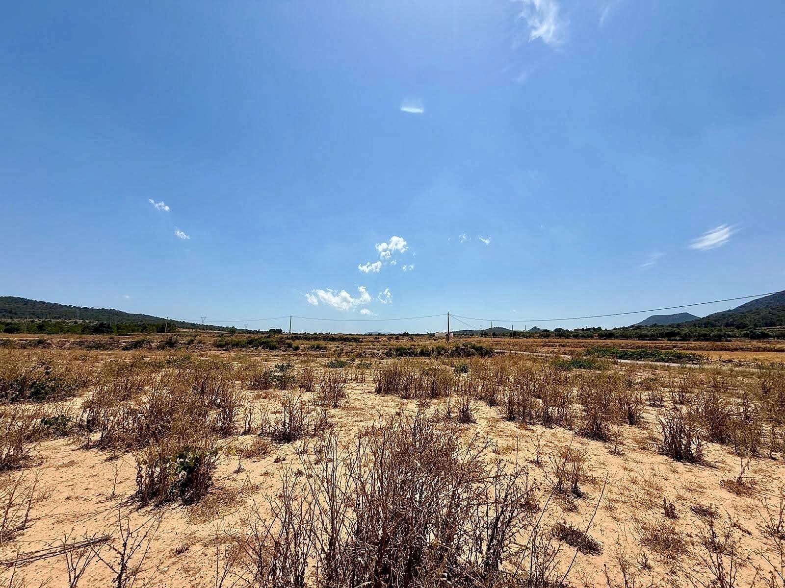 Undeveloped Land for sale in Salinas - € 49,500 (Ref: 10090891)