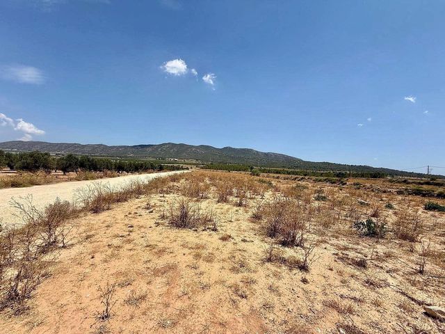 Mark till salu i Salinas - 49 500 € (Ref: 10090891)