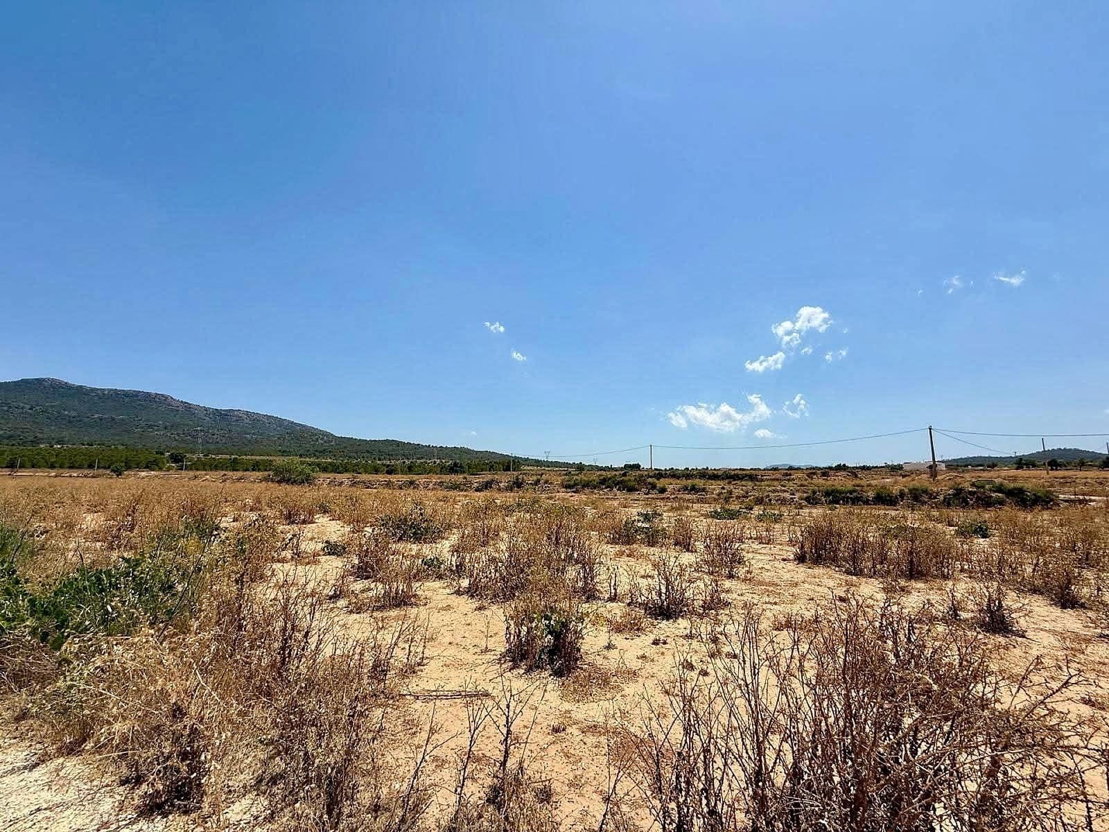 Undeveloped Land for sale in Salinas - € 49,500 (Ref: 10090891)