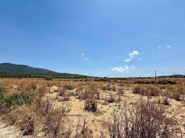 Mark till salu i Salinas - 49 500 € (Ref: 10090891)
