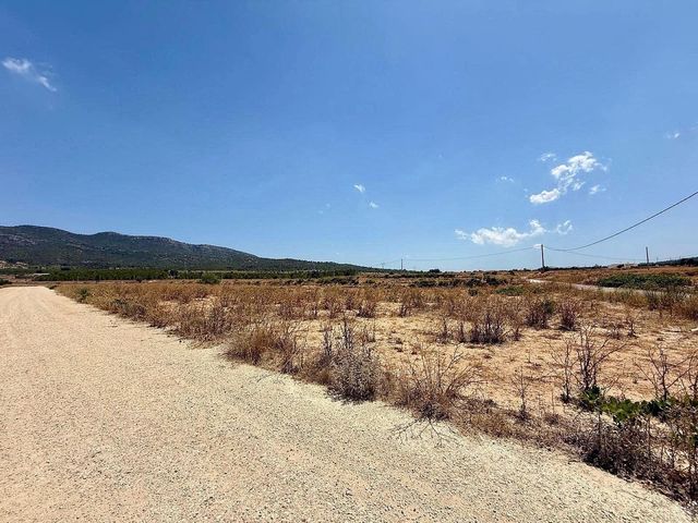 Mark till salu i Salinas - 49 500 € (Ref: 10090891)