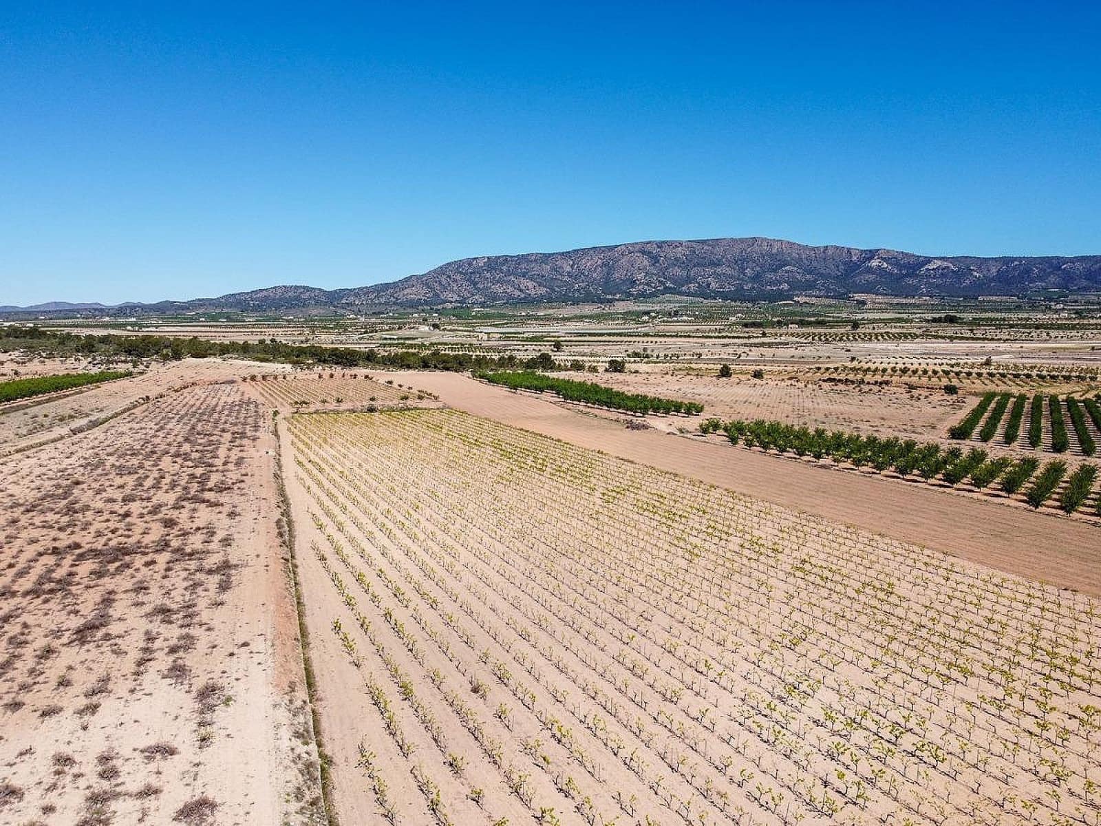 Mark till salu i Pinoso - 222 000 € (Ref: 10090892)