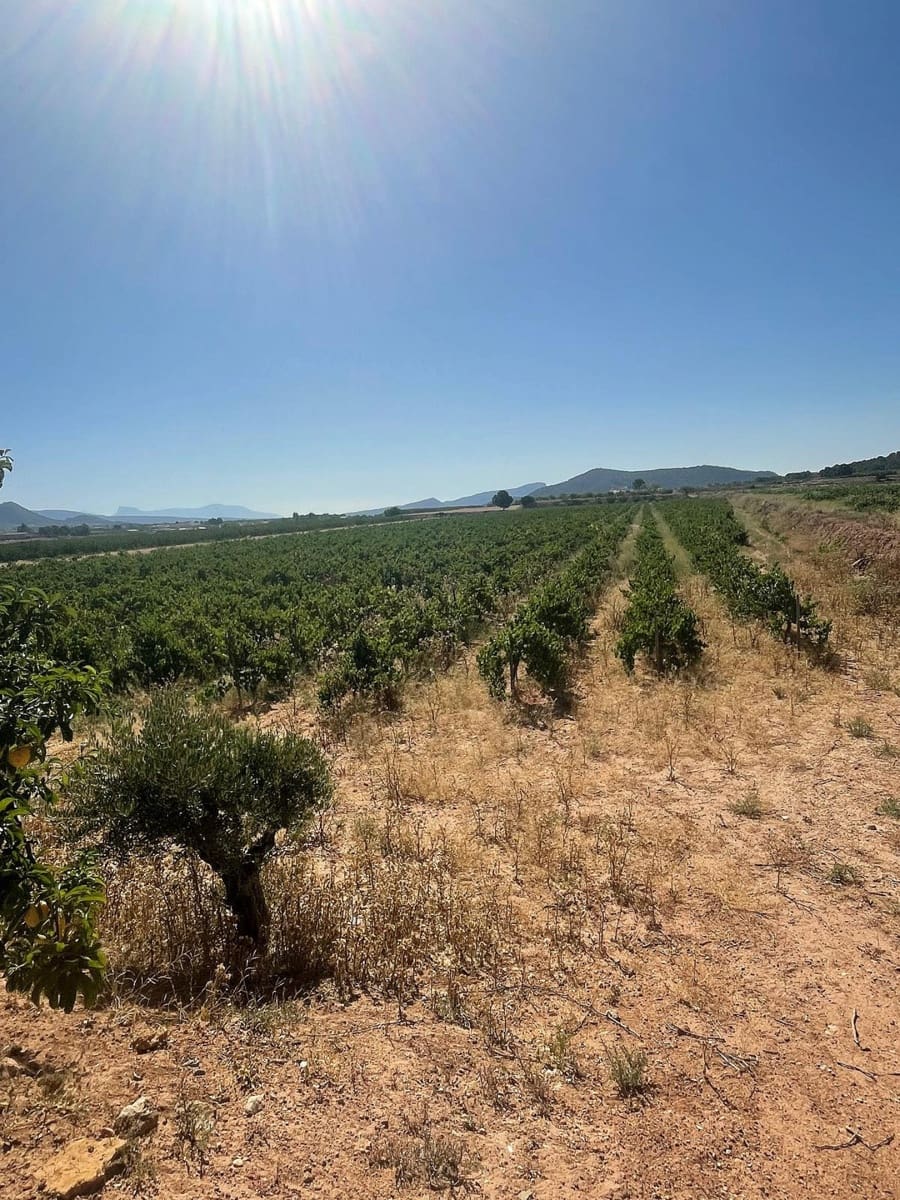 Mark till salu i Pinoso - 222 000 € (Ref: 10090892)