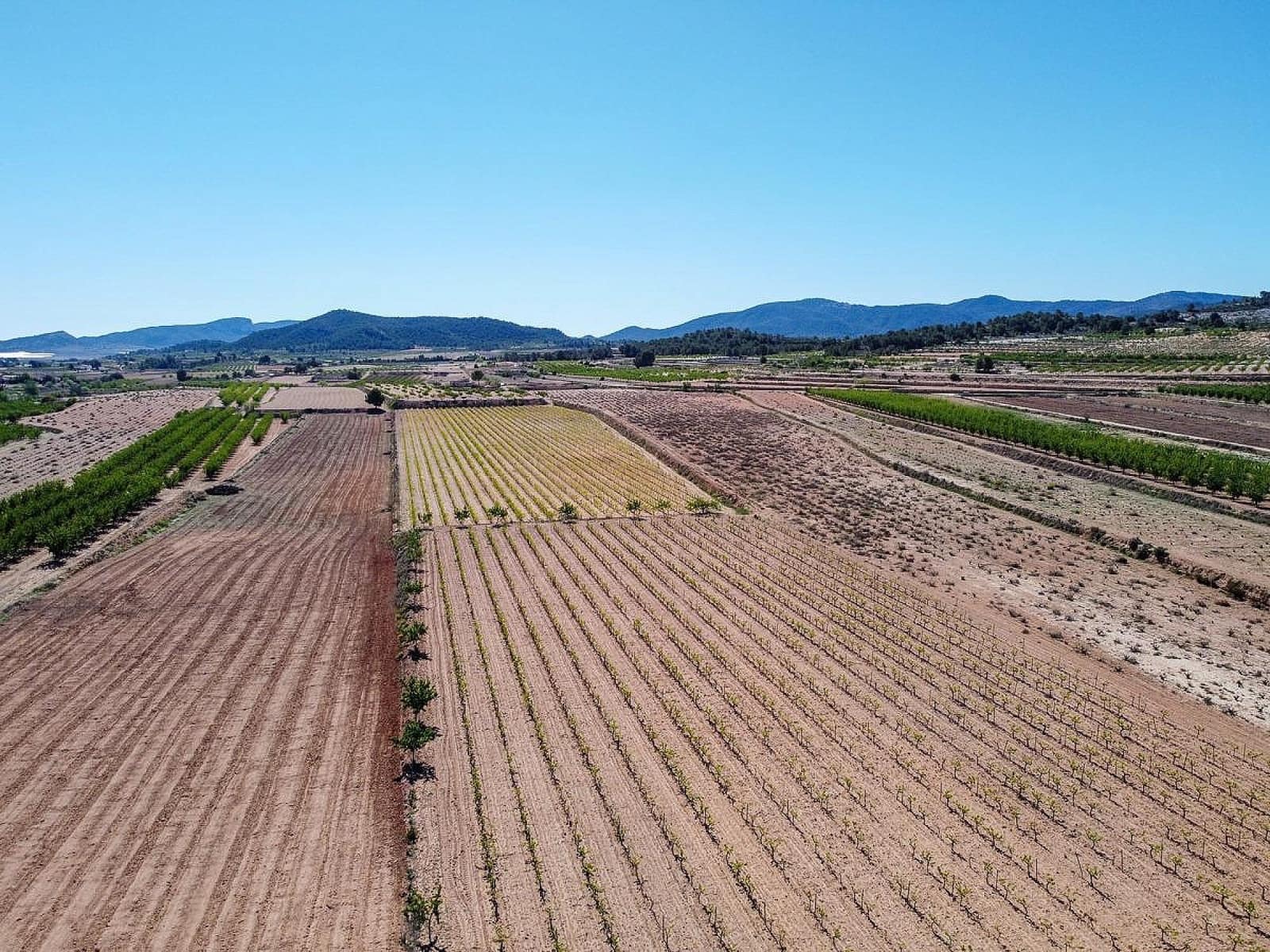 Mark till salu i Pinoso - 222 000 € (Ref: 10090892)