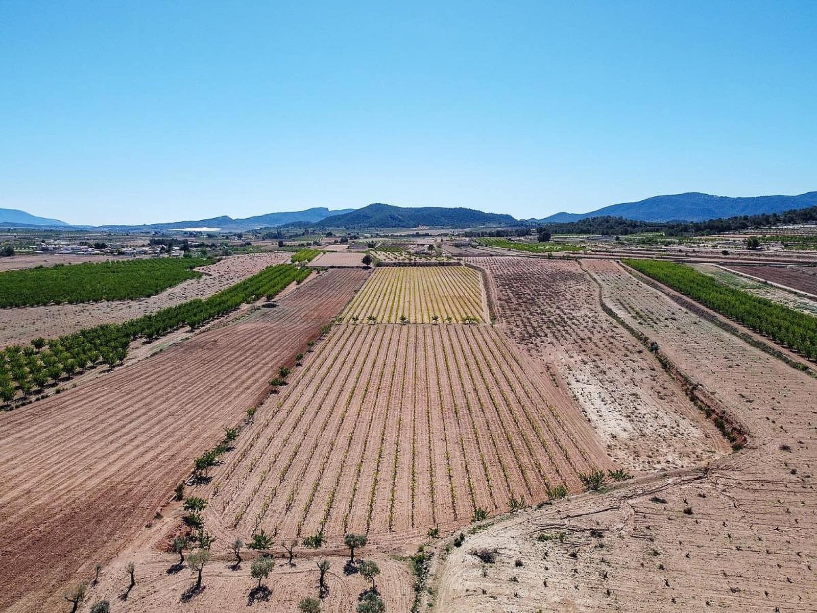 Mark till salu i Pinoso - 222 000 € (Ref: 10090892)