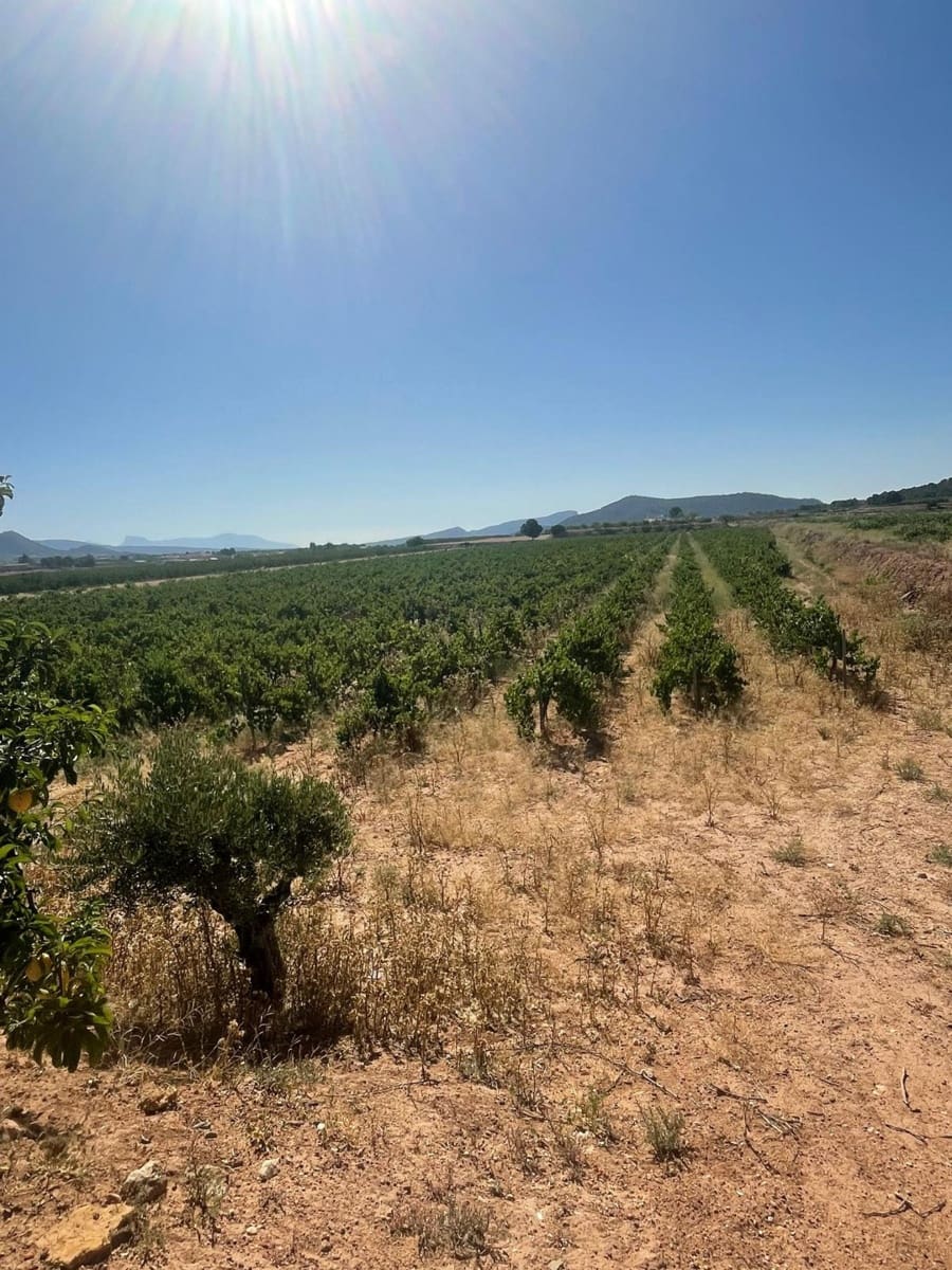 Mark till salu i Pinoso - 222 000 € (Ref: 10090893)