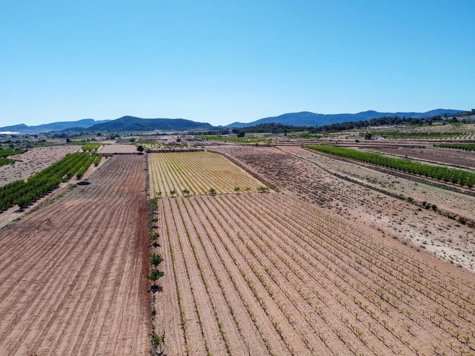 Mark till salu i Pinoso - 222 000 € (Ref: 10090893)