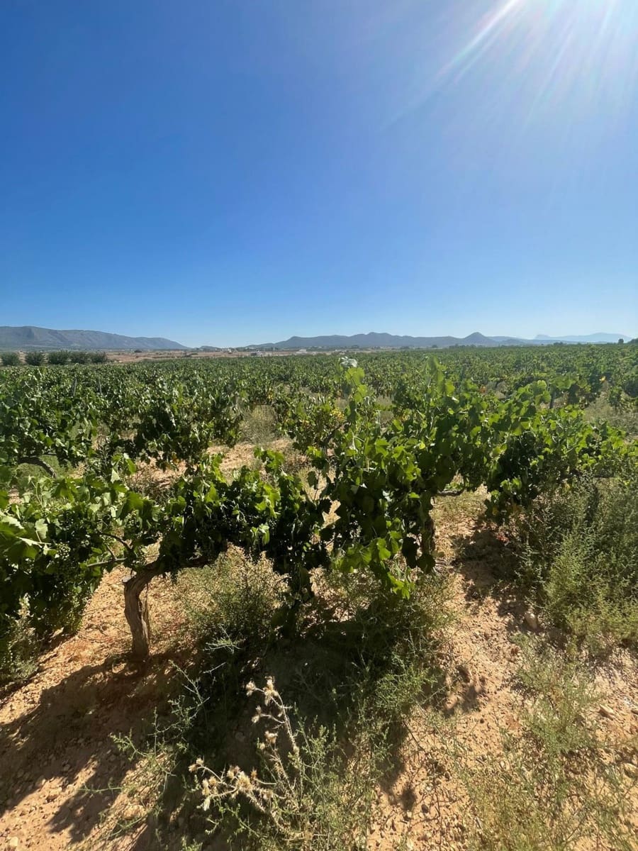 Mark till salu i Pinoso - 222 000 € (Ref: 10090893)