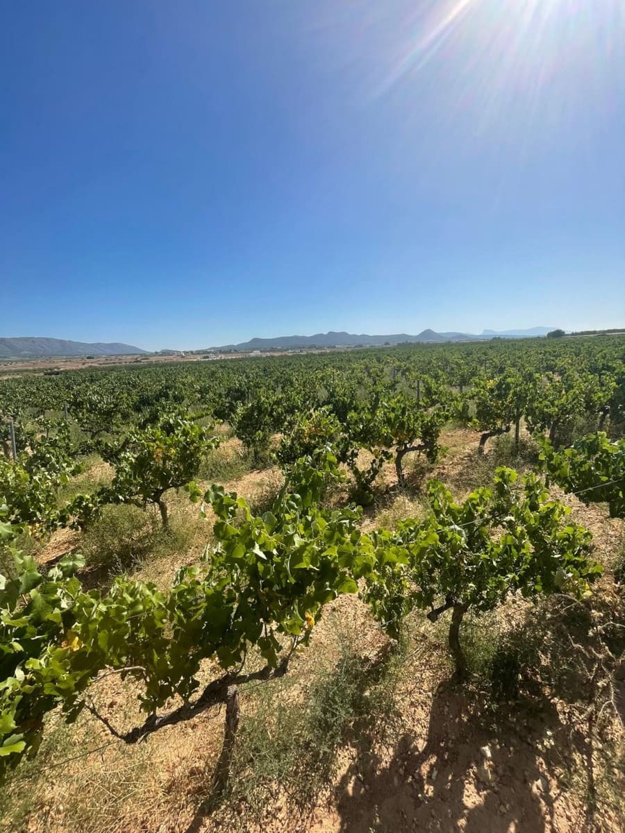 Mark till salu i Pinoso - 222 000 € (Ref: 10090893)