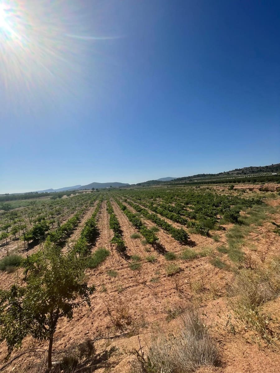 Mark till salu i Pinoso - 222 000 € (Ref: 10090893)