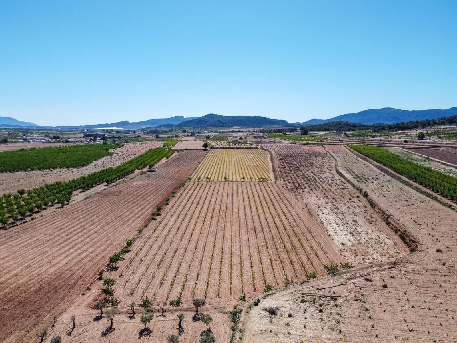 Mark till salu i Pinoso - 222 000 € (Ref: 10090893)