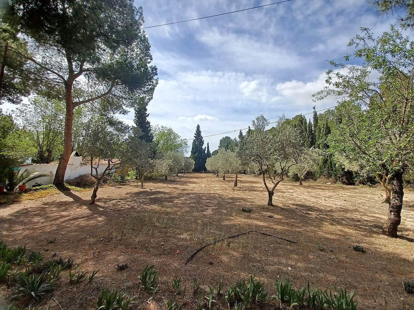 Chalet de 5 habitaciones en Sax en venta con piscina - 319.995 € (Ref: 10120317)