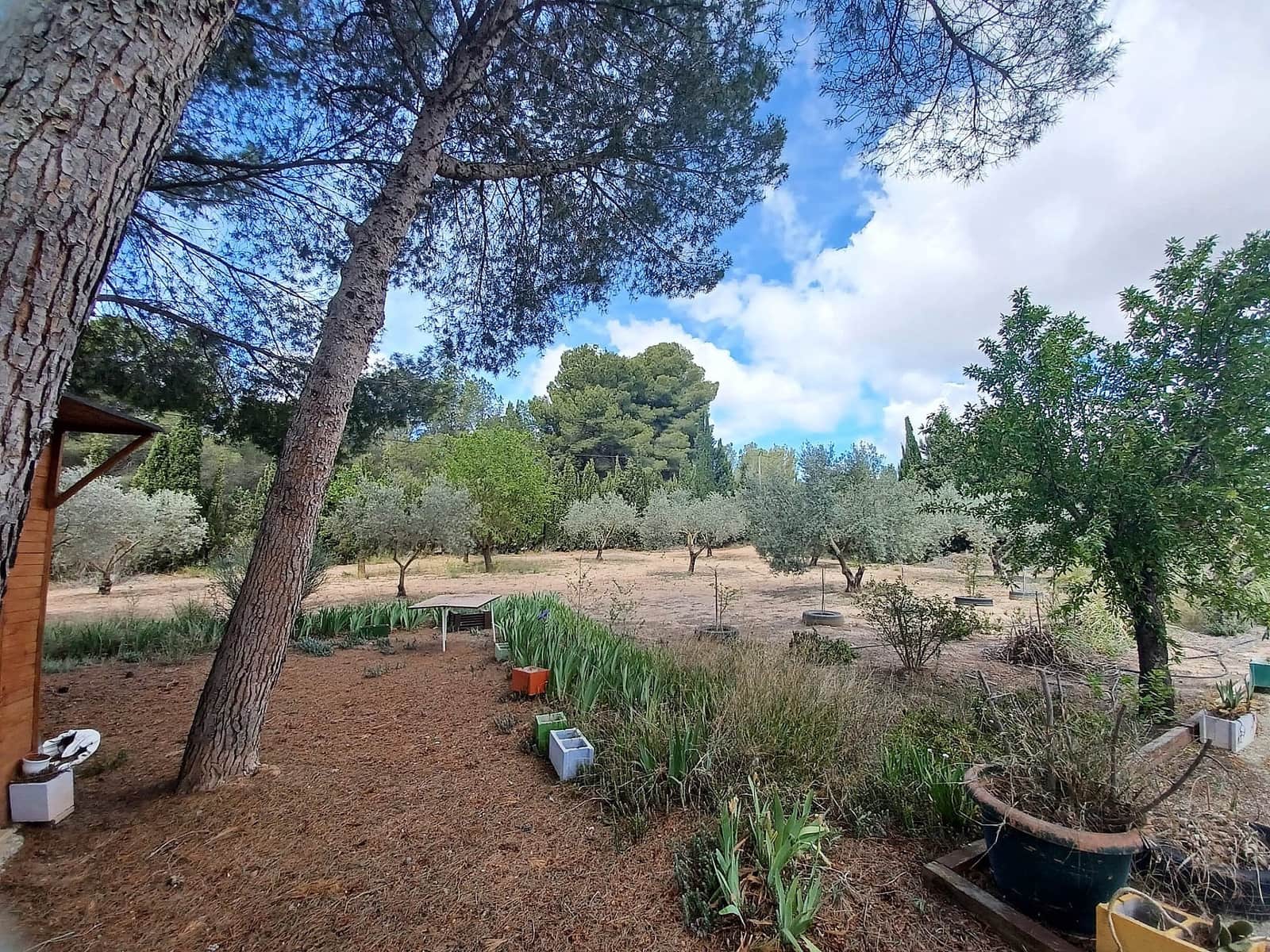 Chalet de 5 habitaciones en Sax en venta con piscina - 319.995 € (Ref: 10120317)