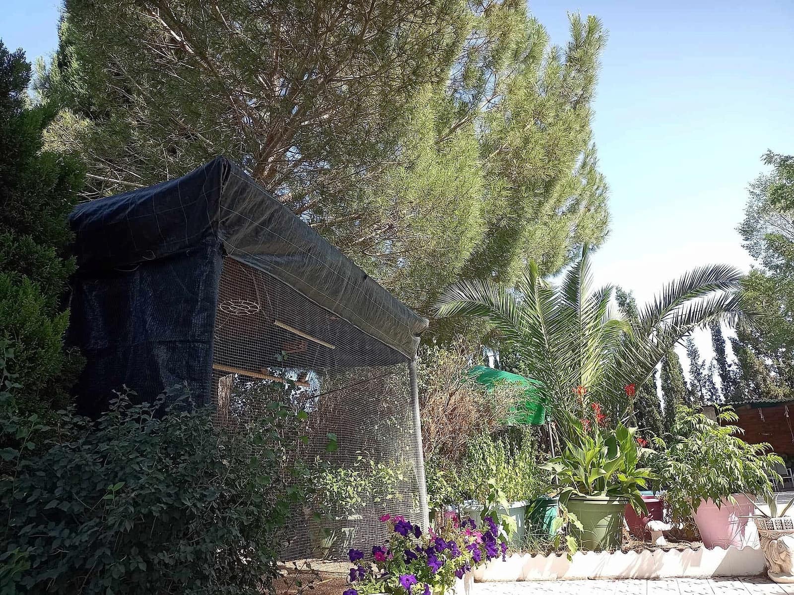 Chalet de 5 habitaciones en Sax en venta con piscina - 319.995 € (Ref: 10120317)