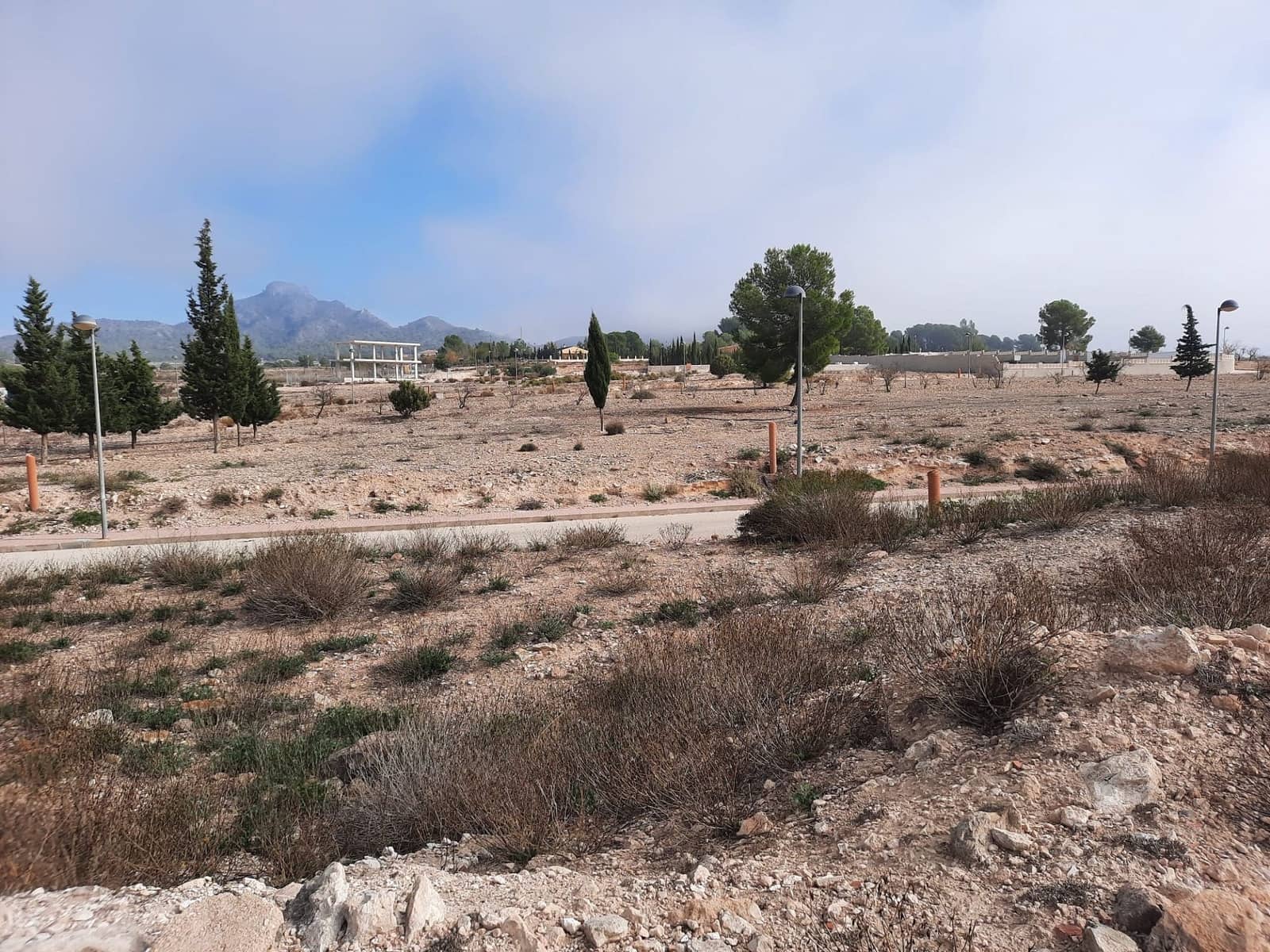 Undeveloped Land for sale in Salinas - € 36,000 (Ref: 10183519)