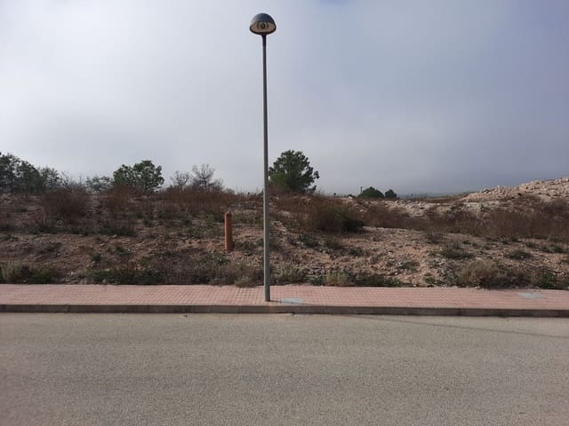 Mark till salu i Salinas - 36 000 € (Ref: 10183519)