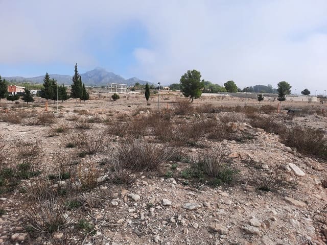 Mark till salu i Salinas - 36 000 € (Ref: 10183519)