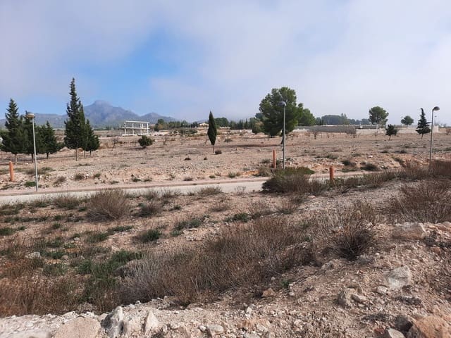 Mark till salu i Salinas - 36 000 € (Ref: 10183519)