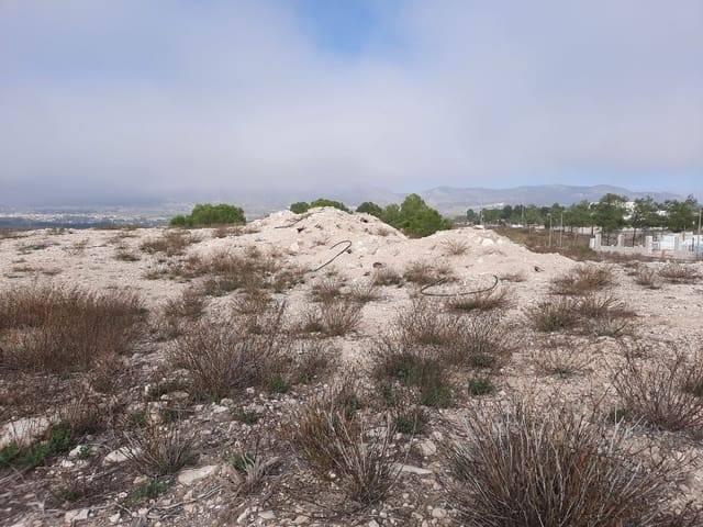 Mark till salu i Salinas - 36 000 € (Ref: 10183519)