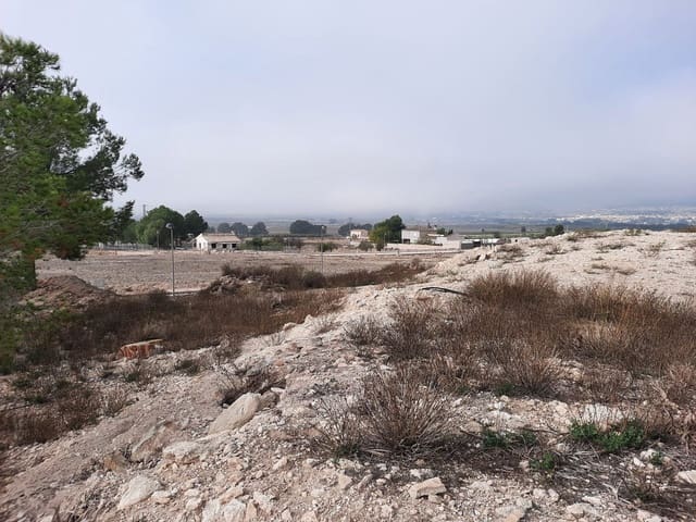 Mark till salu i Salinas - 36 000 € (Ref: 10183519)